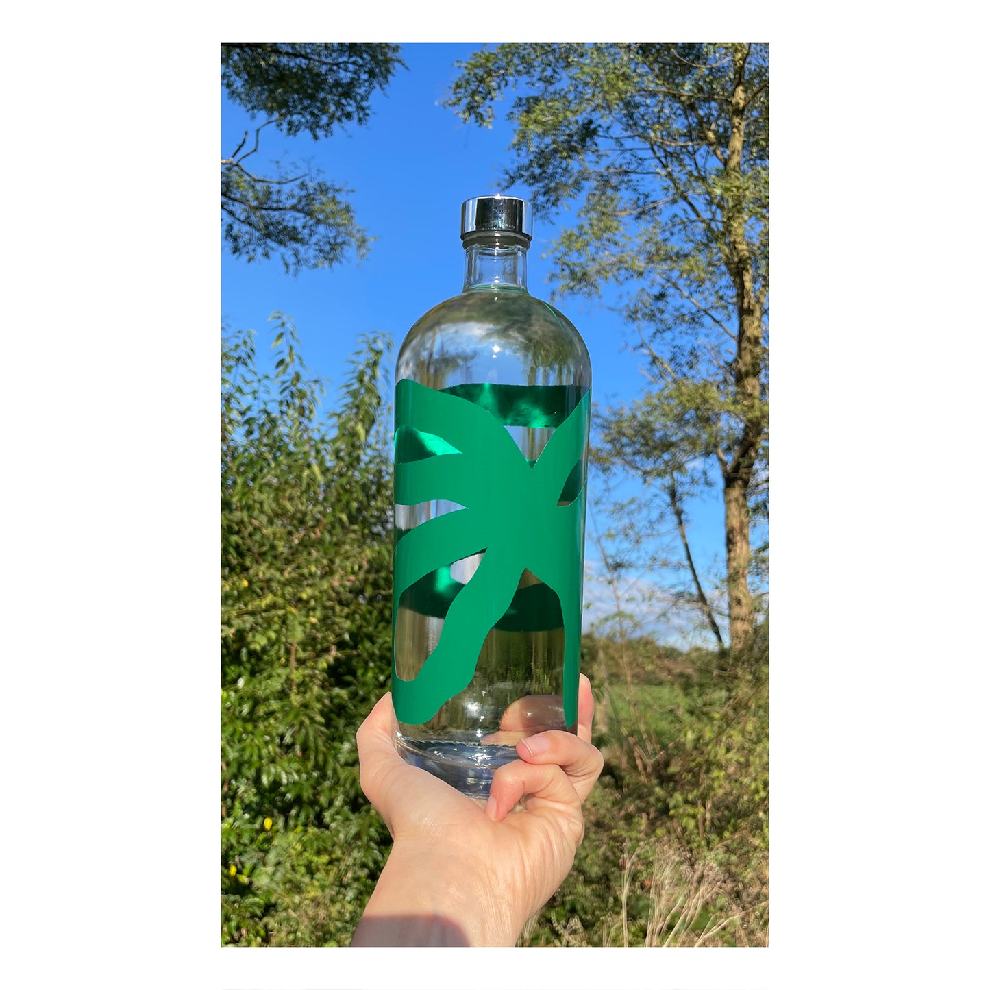 Plant - Glass water bottle 700ml